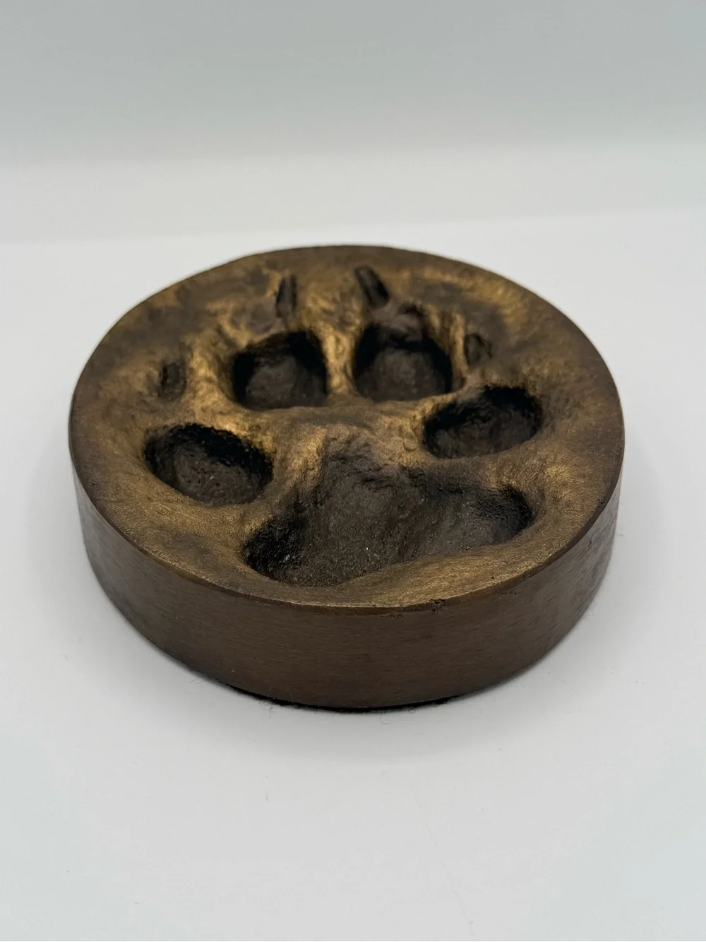 Vintage Denis Mathews Bronze Lion Paw Print Casting Kenya-Unmarked